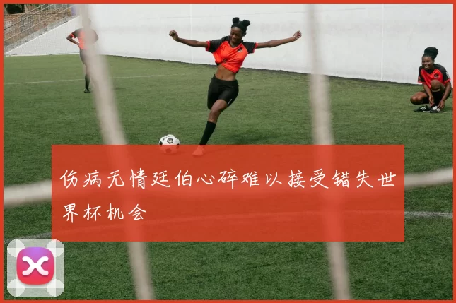 伤病无情廷伯心碎难以接受错失世界杯机会